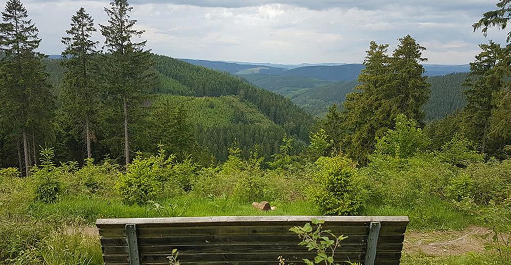 Вілла Ferienhaus Astenblick - Ideal Fuer Weihnachtsfeiern Und Familienfeiern Bietet Schlafplaetze Fuer Bis Zu 35 Personen Вінтерберг Екстер'єр фото